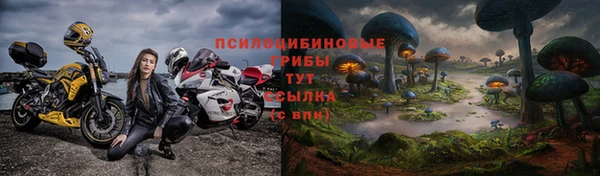 бутират Алексеевка