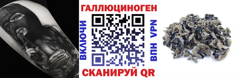 Галлюциногенные грибы GOLDEN TEACHER  как найти закладки  маркетплейс формула  Дмитриев 